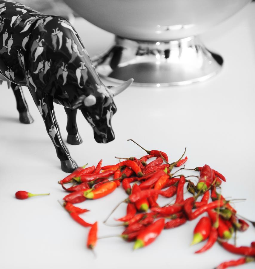 ホテル スパイシー ソレント エクステリア 写真